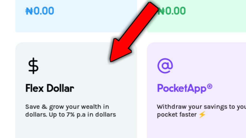 Piggyvest 'Flex Dollar' feature